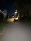 Аватар продавца Александр