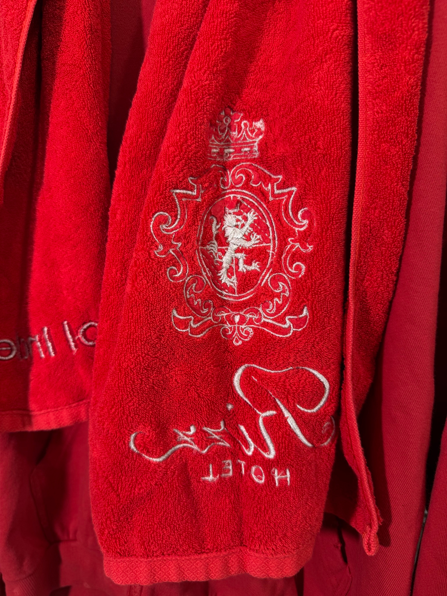 Protocol Index Terry Towel Red Zip Hoodie, миниатюра 5