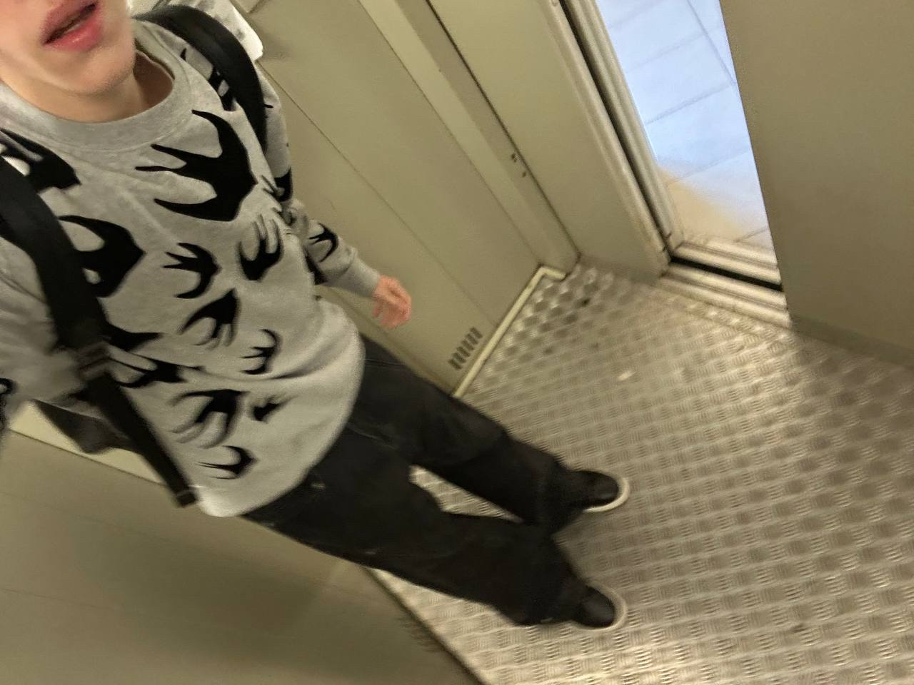 Alexander McQueen Allover Swallow Sweatshirt, миниатюра 2