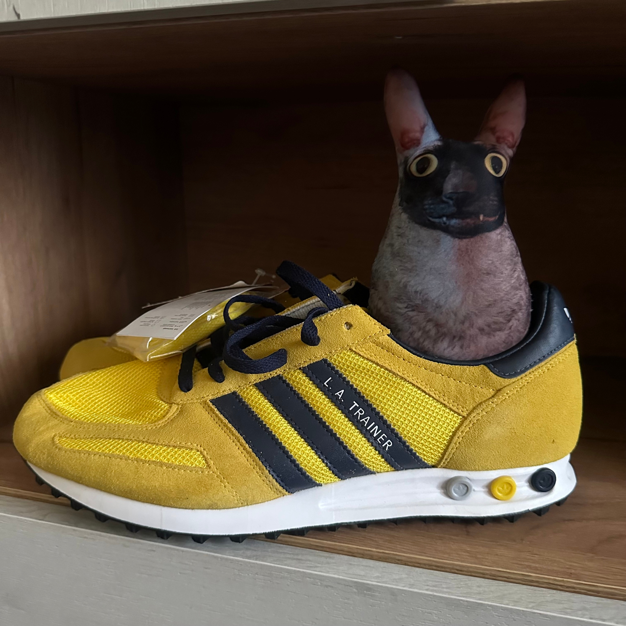 Adidas Originals L.A. Trainer 'Jamaica' 2009, миниатюра 8