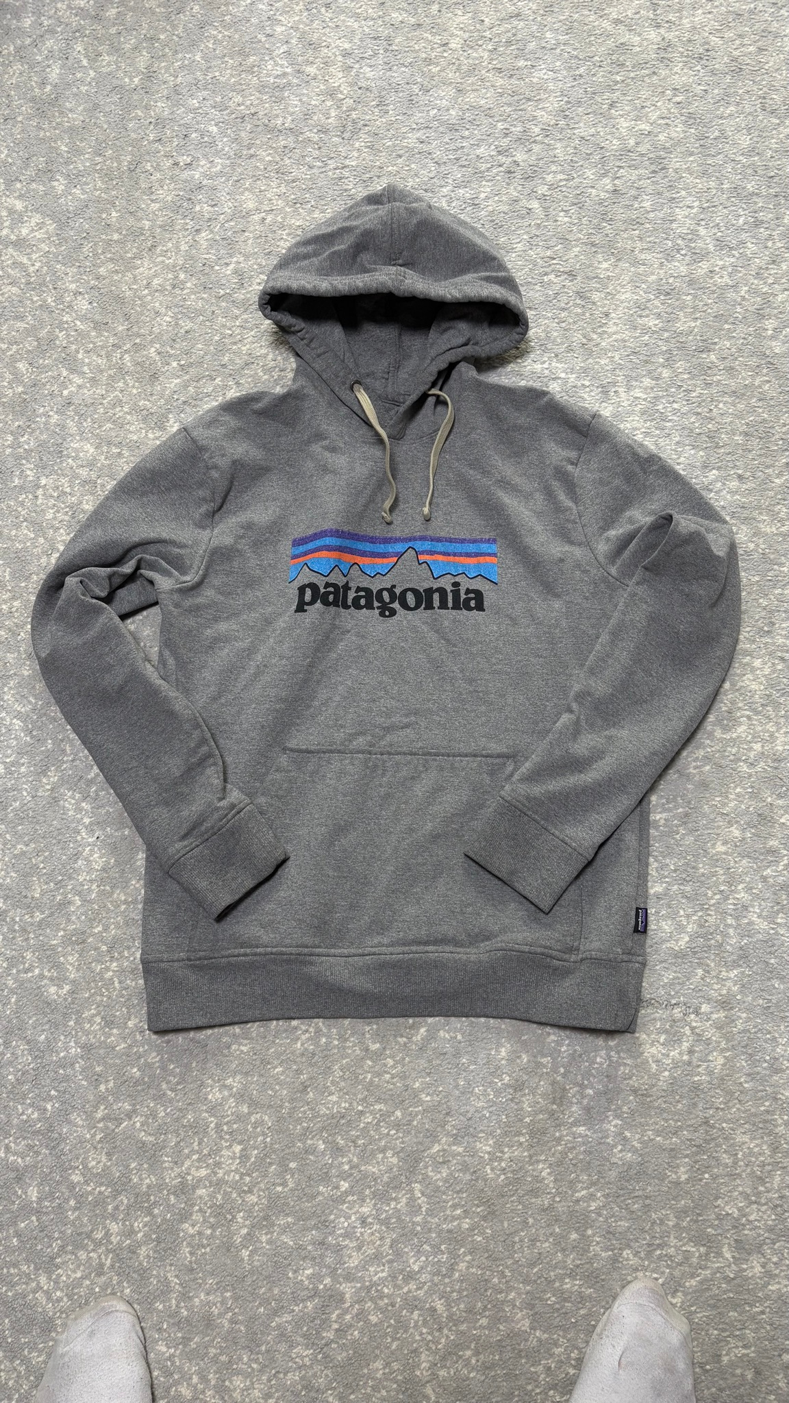 Patagonia Худи big logo, миниатюра 1