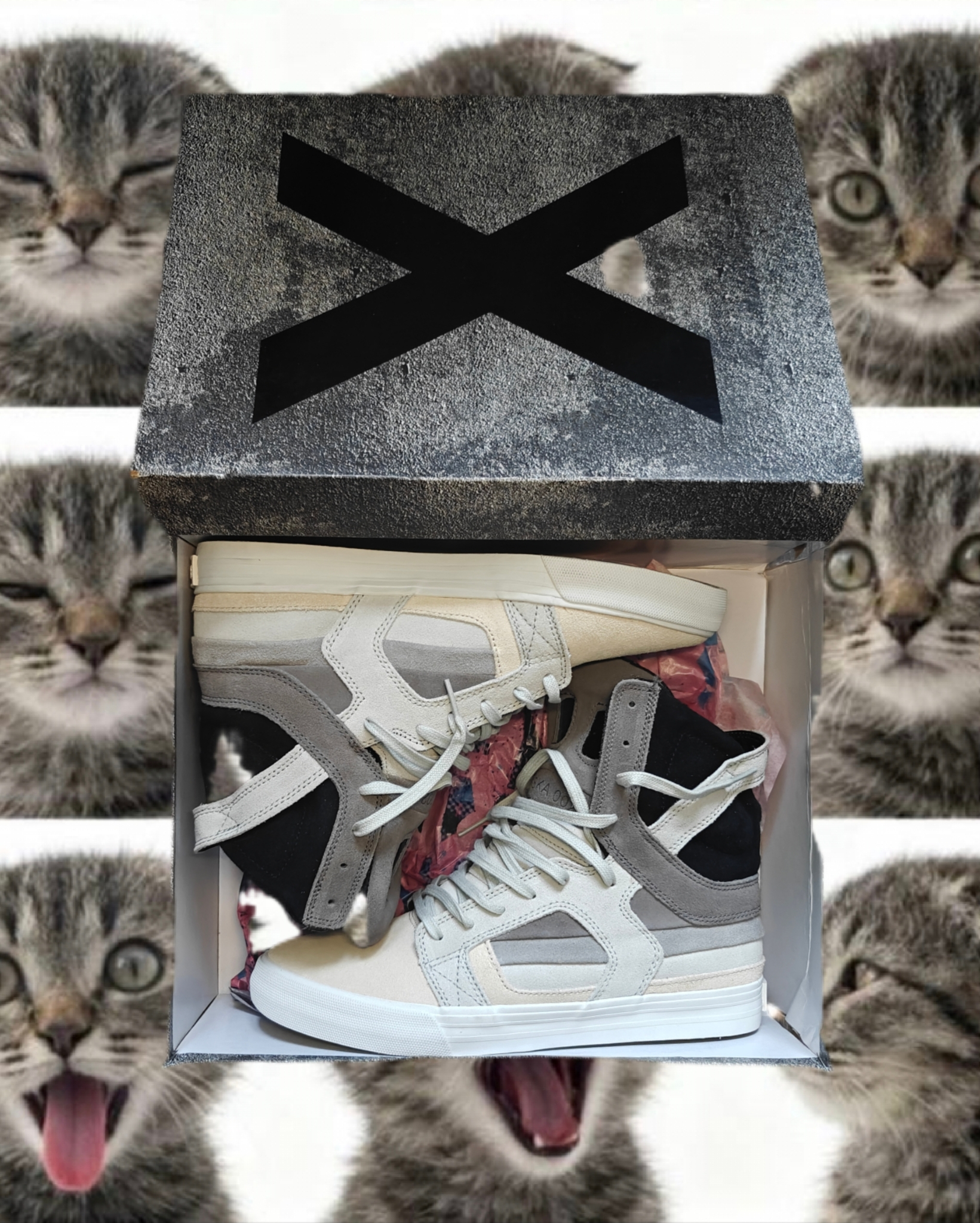 Supra x Chad Muska Skytop II Transitions Decade, миниатюра 4