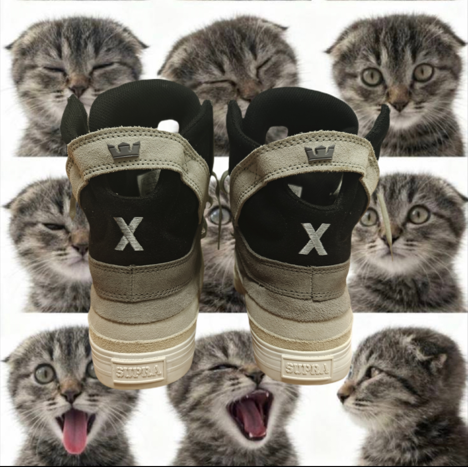 Supra x Chad Muska Skytop II Transitions Decade, миниатюра 2
