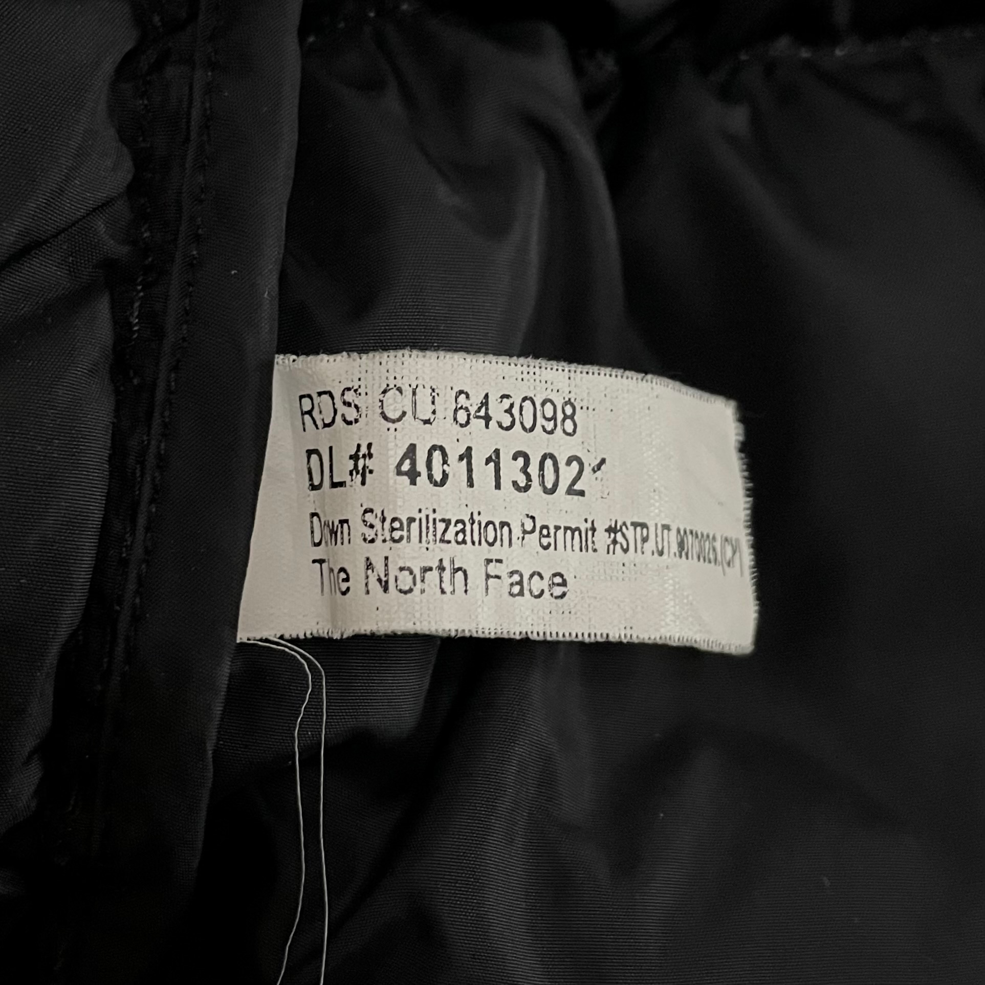 The North Face 1996 Retro Nupste 700 Fill Wasabi Ise, миниатюра 14