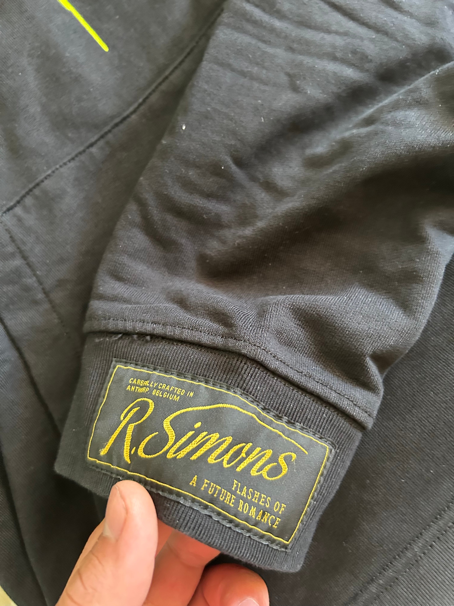 Raf Simons Echodomer Hoodie, миниатюра 10