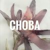 Аватар продавца Снова винтаж