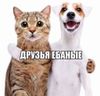 Аватар продавца Agera