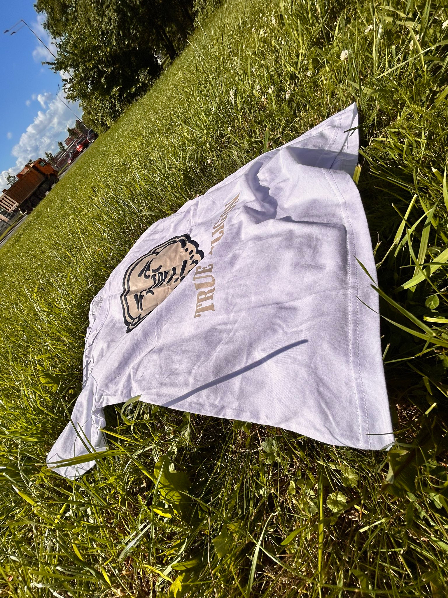 True Religion Футболка, миниатюра 2