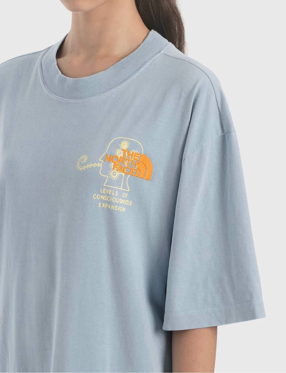 Brain Dead x The North Face T-Shirt dress blue, миниатюра 5