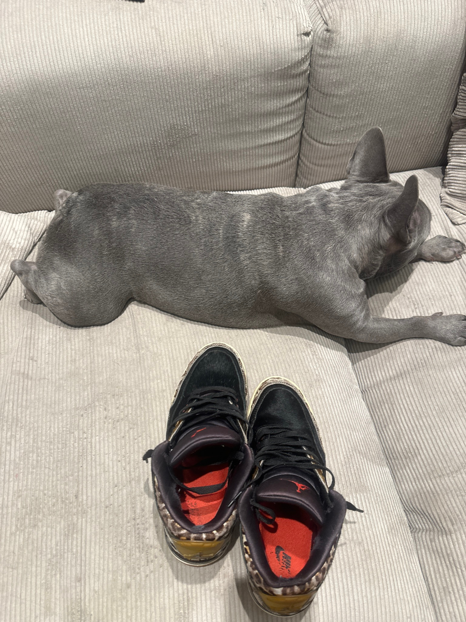 Air Jordan  Animal Instinct, миниатюра 3