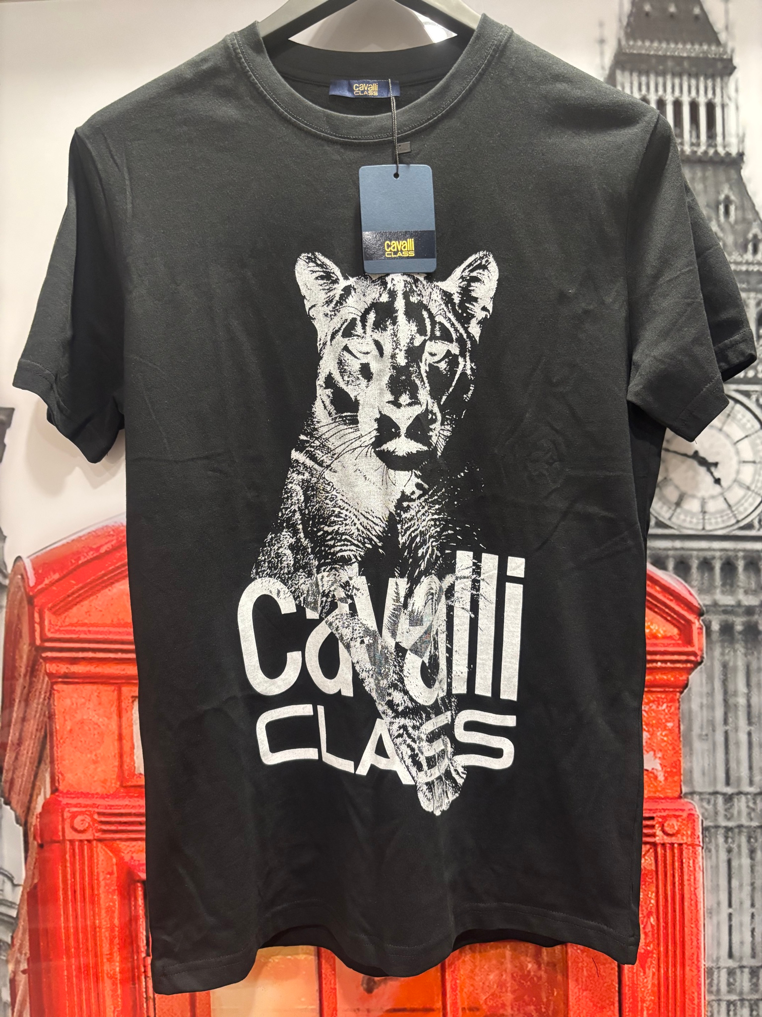 Roberto Cavalli Cavalli class, миниатюра 5