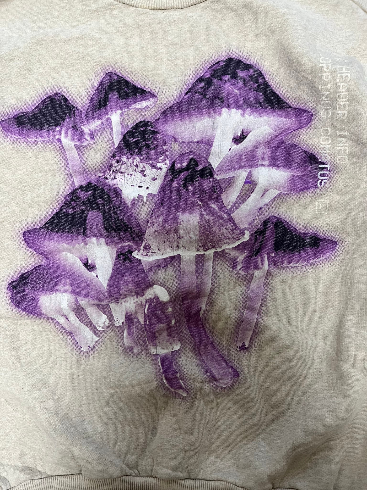 Acne Studios X-ray mashrooms, миниатюра 4
