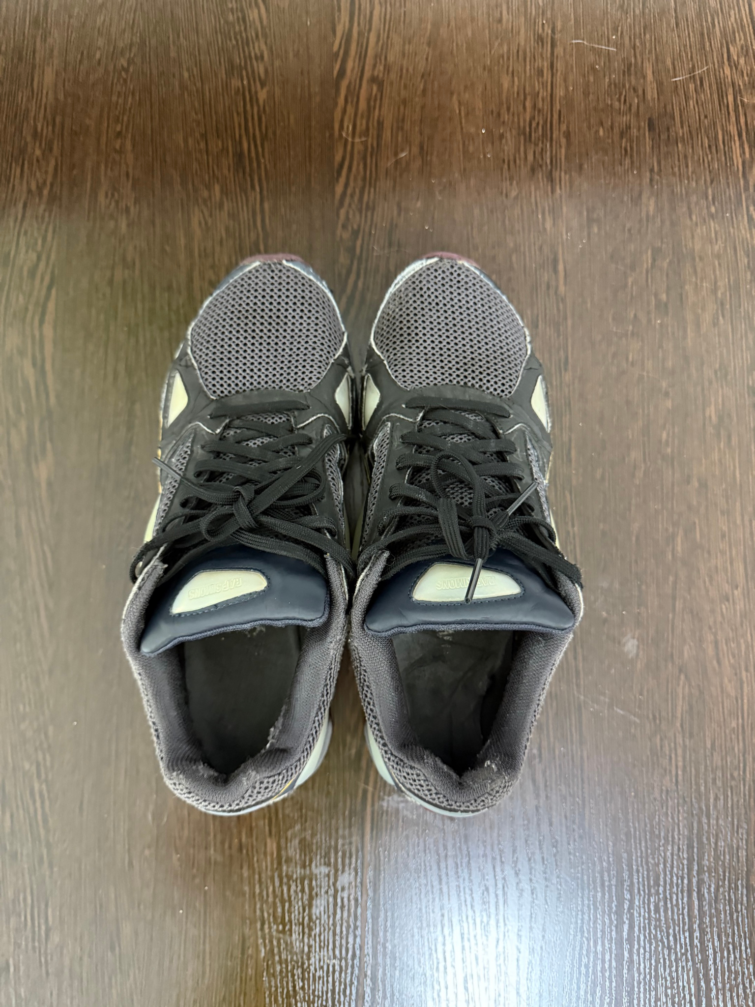 Raf Simons x adidas Ozweego 1, миниатюра 3