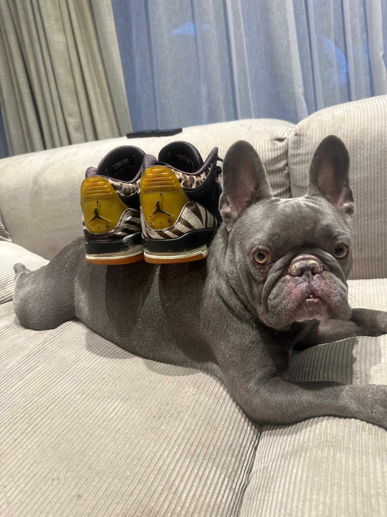 Air Jordan  Animal Instinct, миниатюра 9
