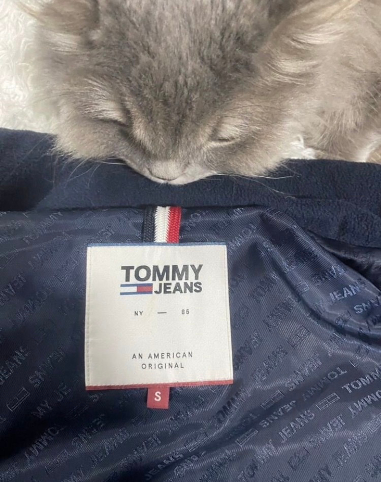 Tommy Hilfiger Жилет, миниатюра 3