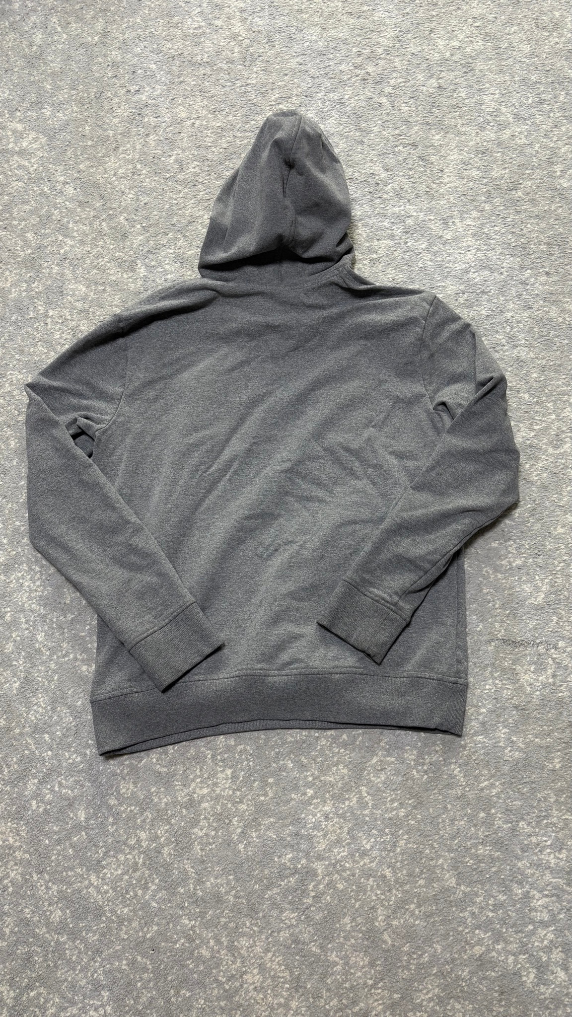 Patagonia Худи big logo, миниатюра 2