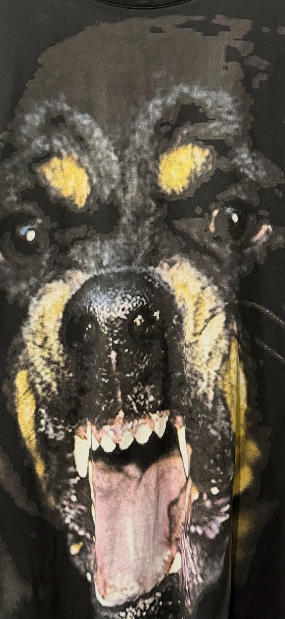 Givenchy Rottweiler, миниатюра 4