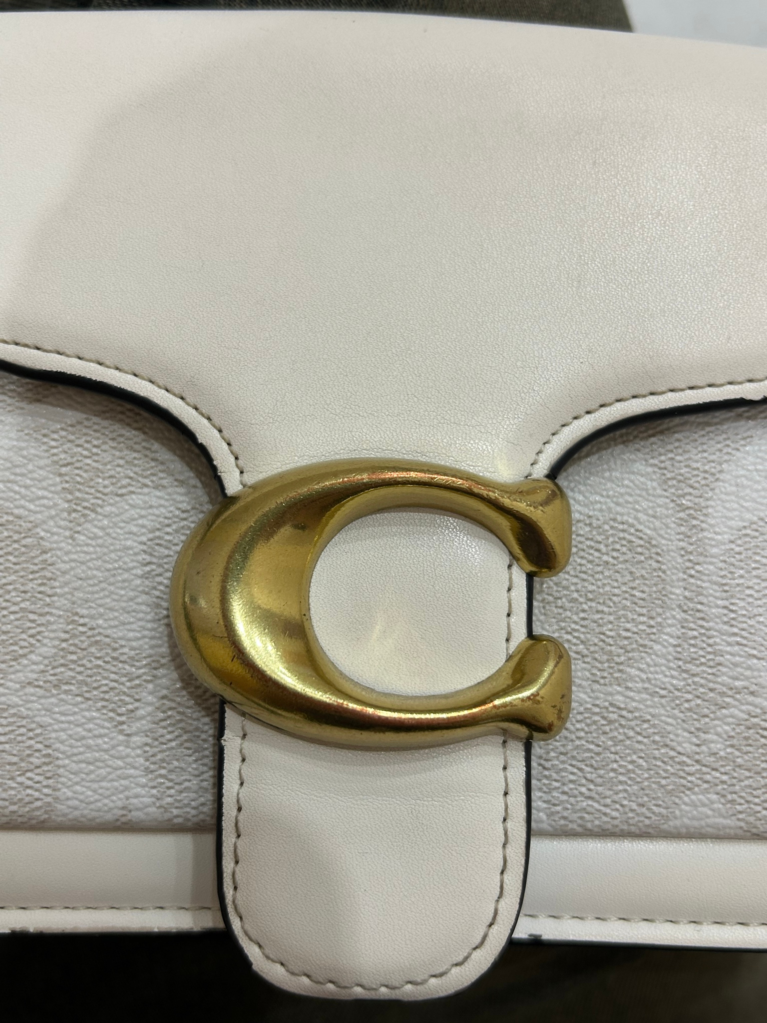 Coach Tabby, миниатюра 11