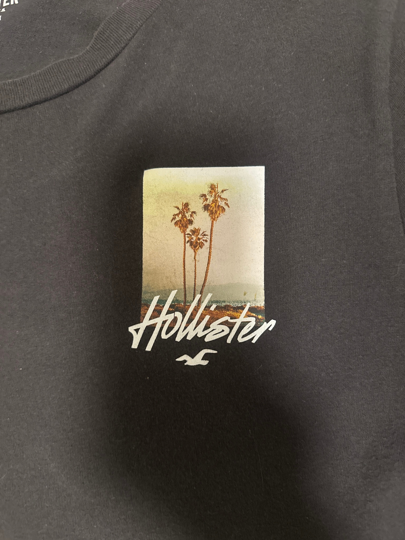 Hollister Другое, миниатюра 4