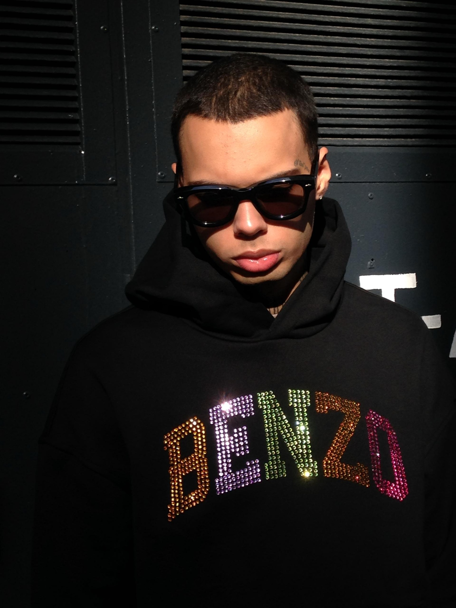 Худи benzo Rhinestone, миниатюра 2