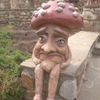Аватар продавца mushroom