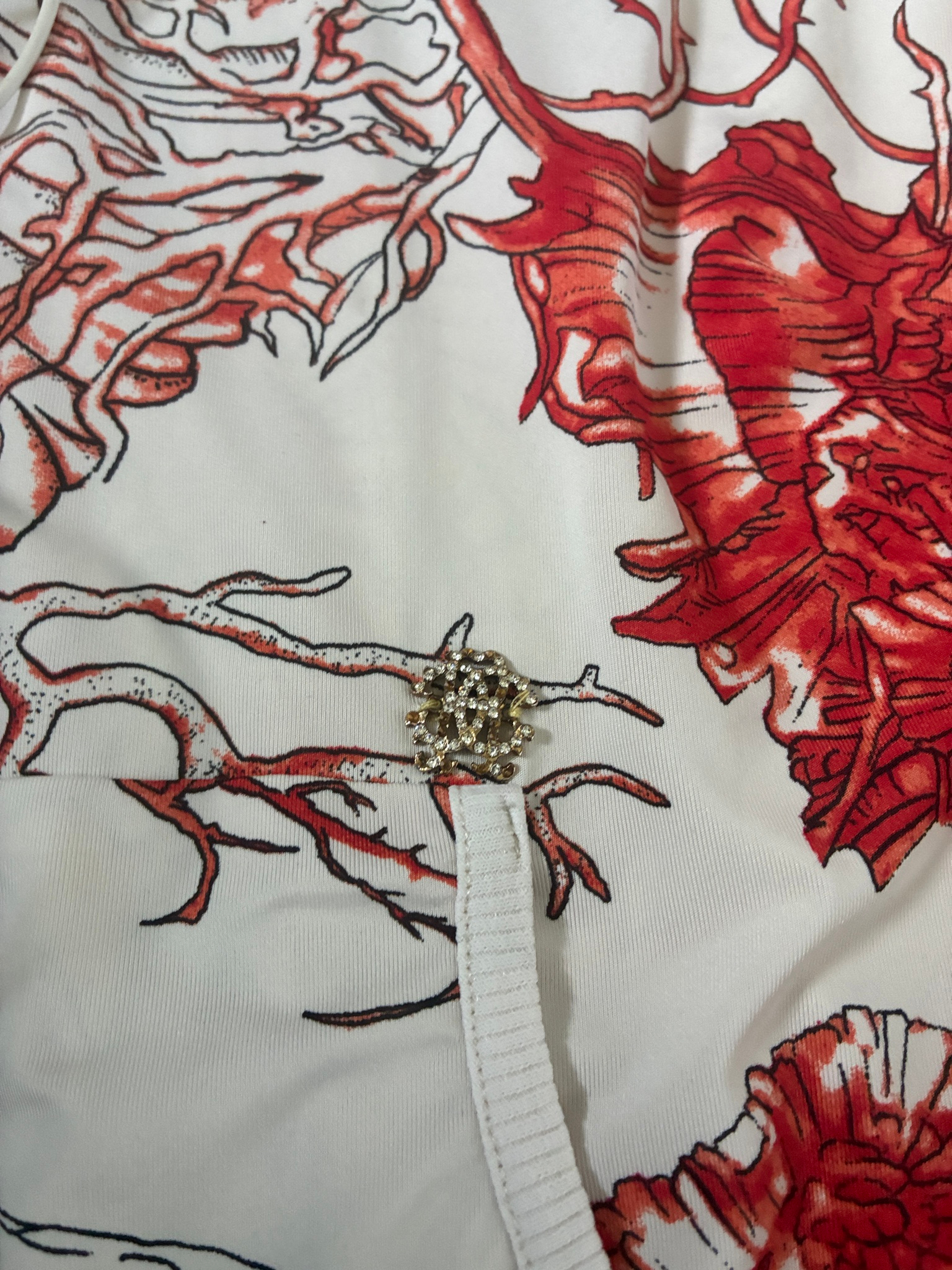 Roberto Cavalli Pre-Fall 2011, миниатюра 4