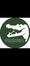Аватар продавца vilroshik