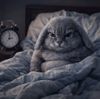 Аватар продавца ruru