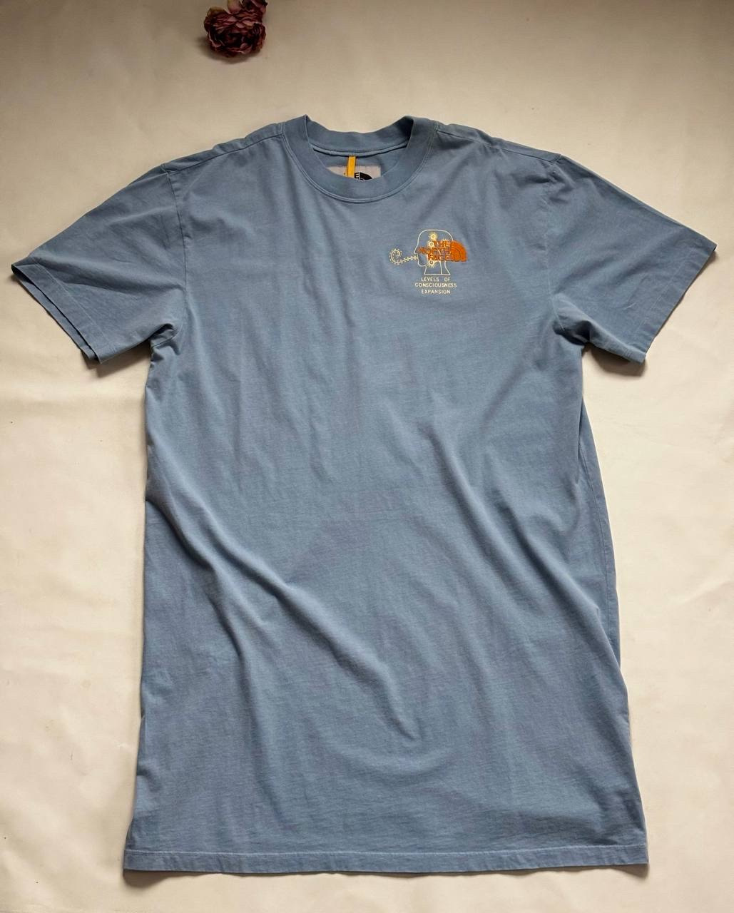 Brain Dead x The North Face T-Shirt dress blue, миниатюра 9