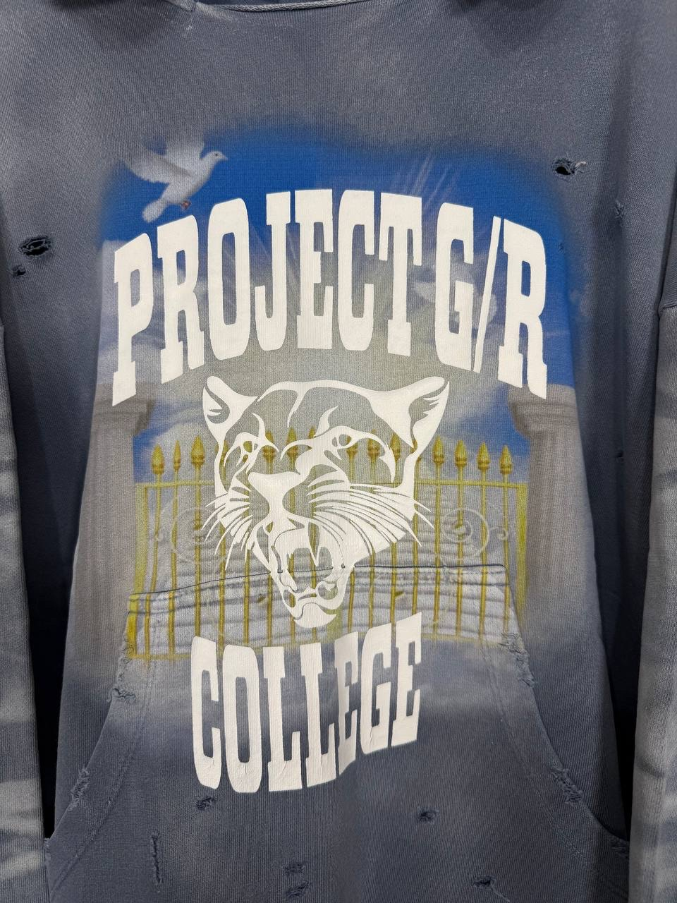 Project G/R College Mixed Printed Vintage Blue Hoodie, миниатюра 3
