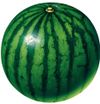 Аватар продавца matrixcouture tgk