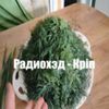 Аватар продавца cheeefir