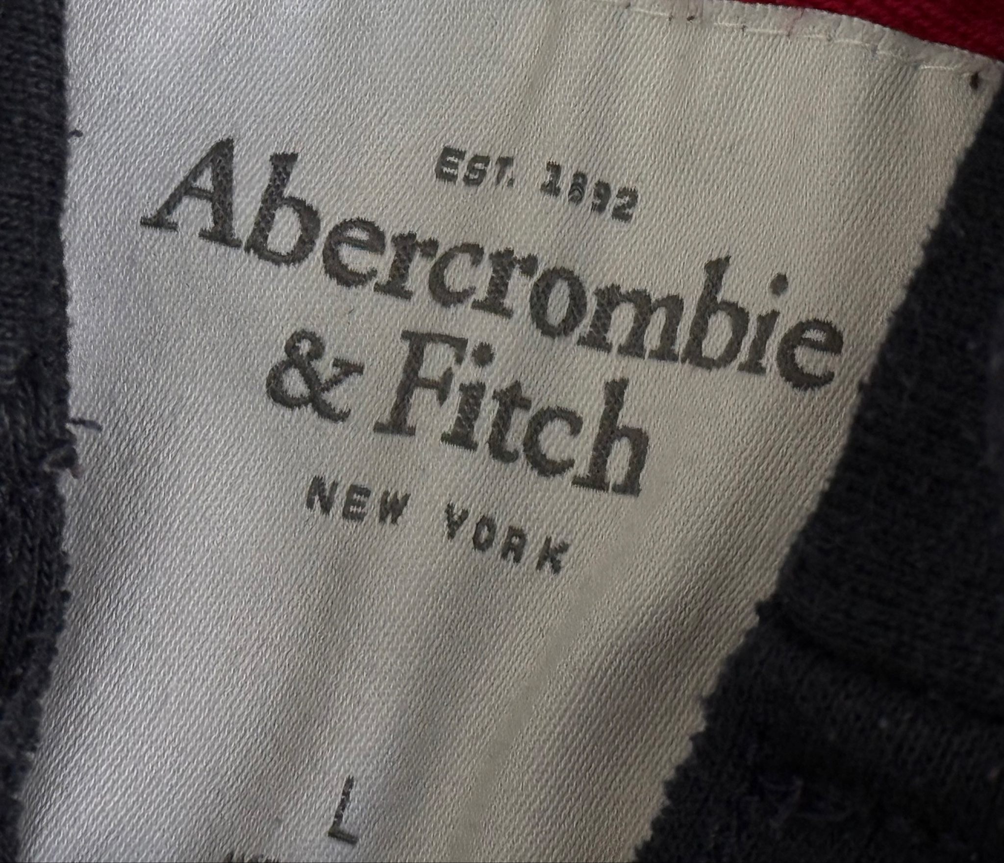 Abercrombie & Fitch Archive Hoodie, миниатюра 5
