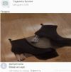 Аватар продавца desespere