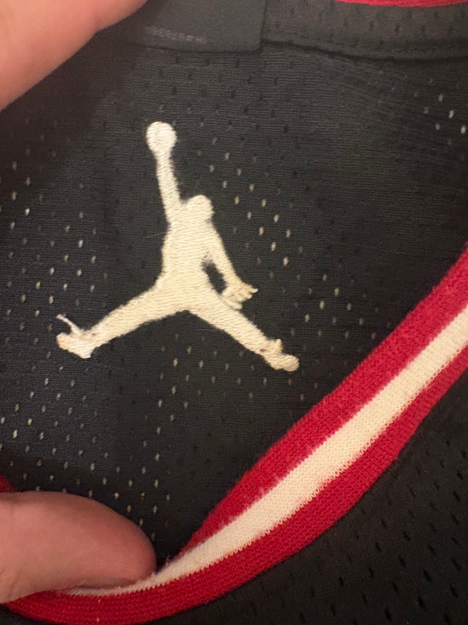 Jordan Майка, миниатюра 6