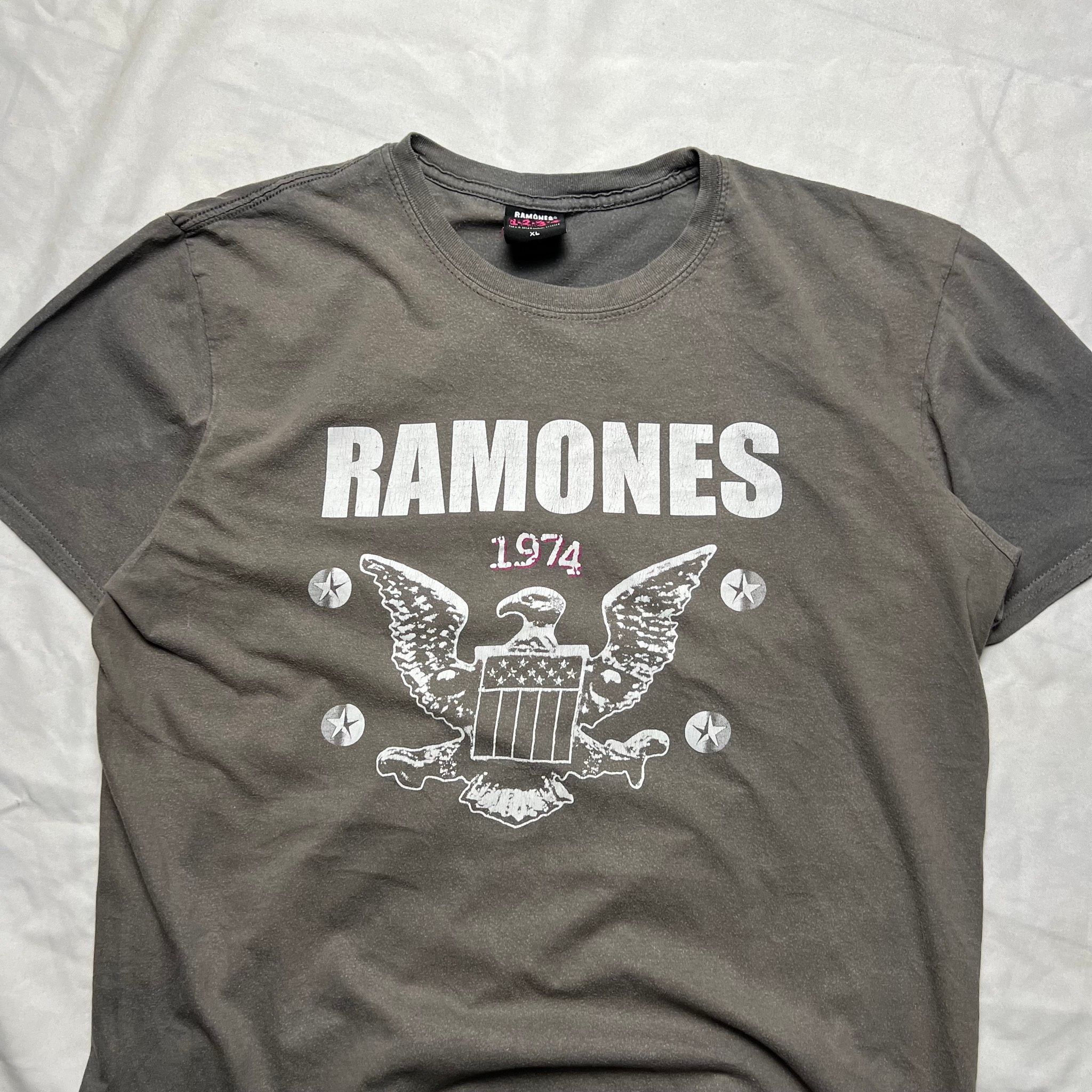 Ramones 2014, миниатюра 4