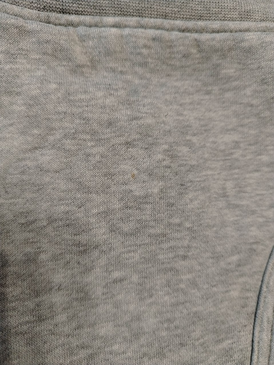 Polo Ralph Lauren Polo Sport Hoodies, миниатюра 8