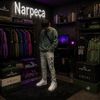 Аватар продавца Narpeca