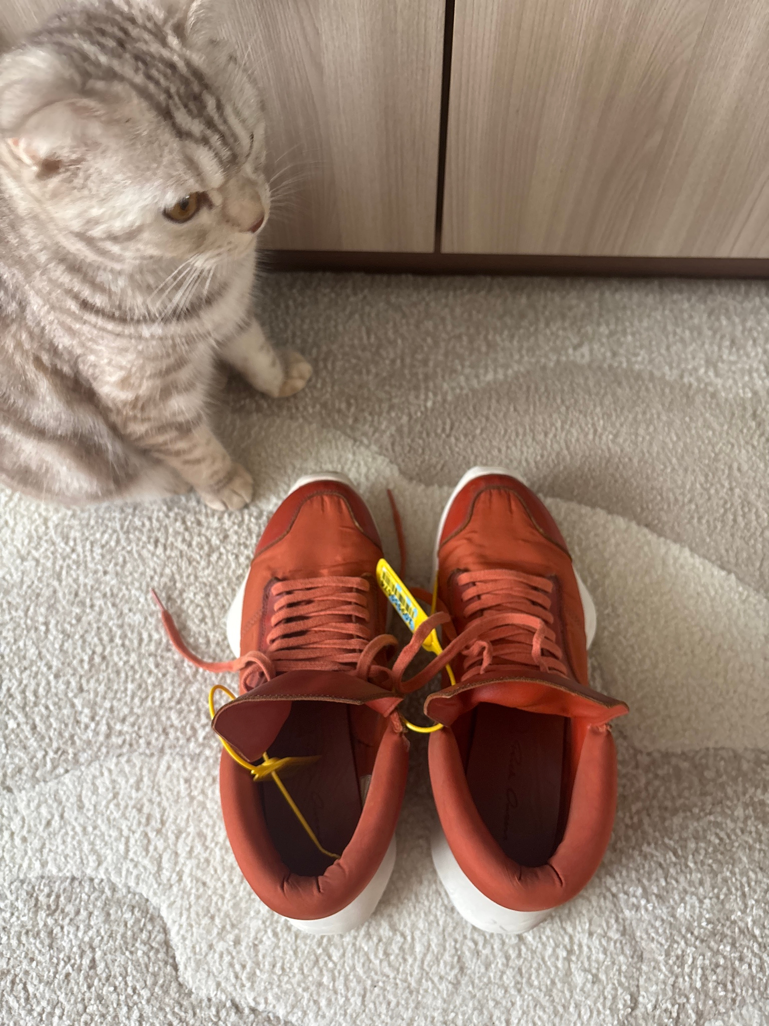 Rick Owens x Adidas Runner fox orange, миниатюра 3