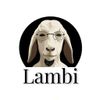Аватар продавца TG Lambi store