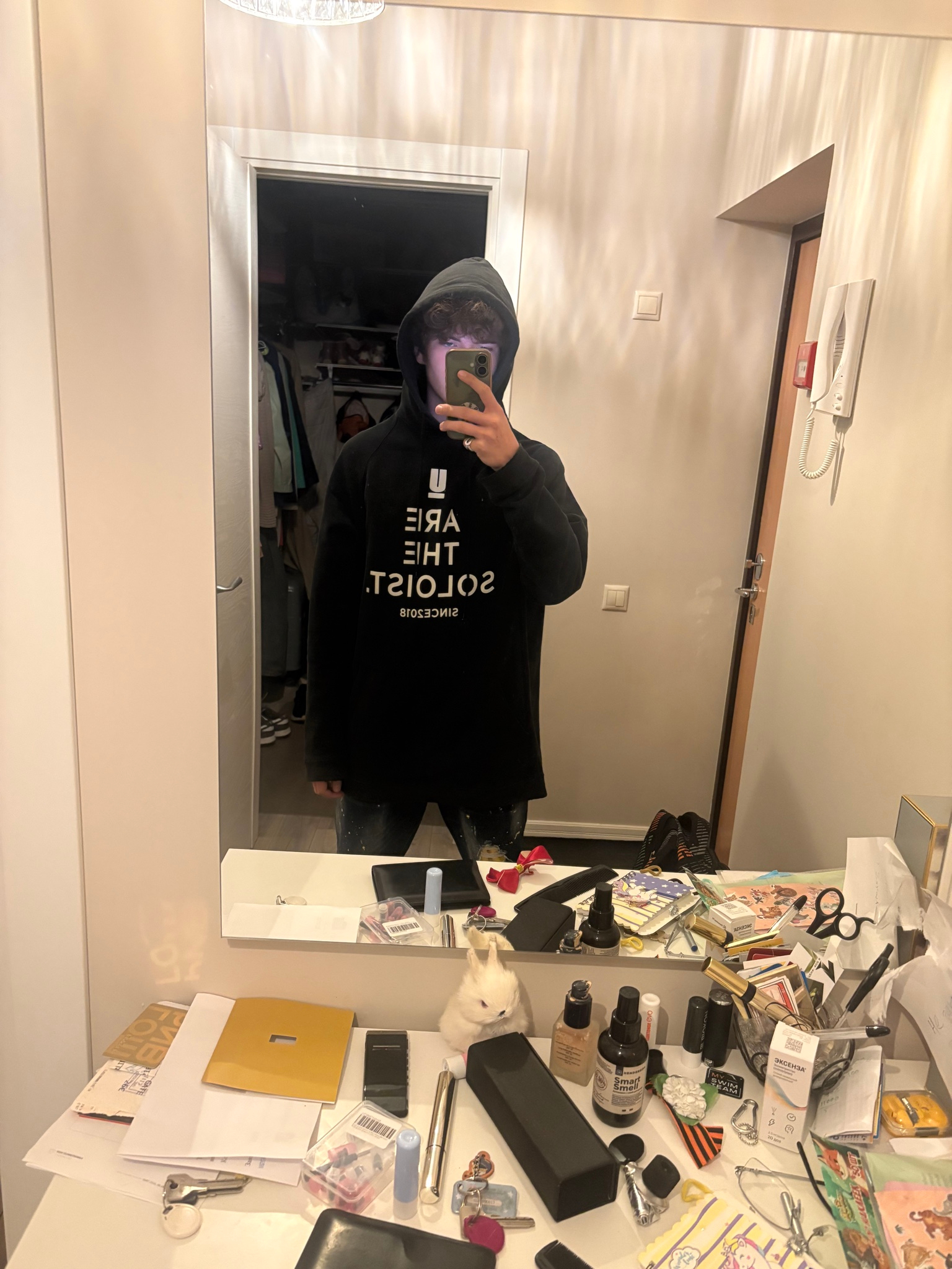 Undercover x TAKAHIROMIYASHITA the soloist Hoodie (2018AW), миниатюра 8
