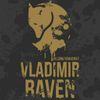 Аватар продавца RavenShop