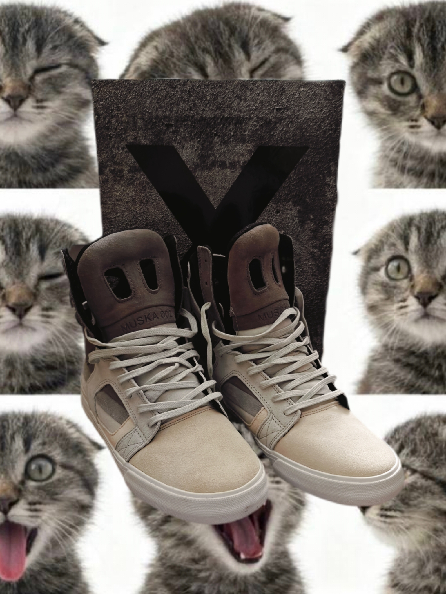 Supra x Chad Muska Skytop II Transitions Decade, миниатюра 1