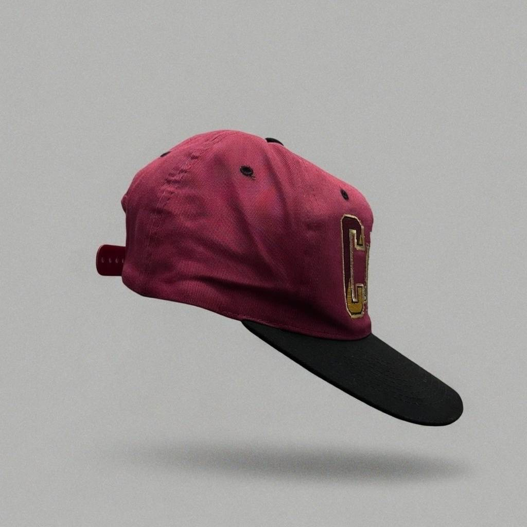 Phoenix Cardinals 1990s Vintage Embroidered Cap, миниатюра 2