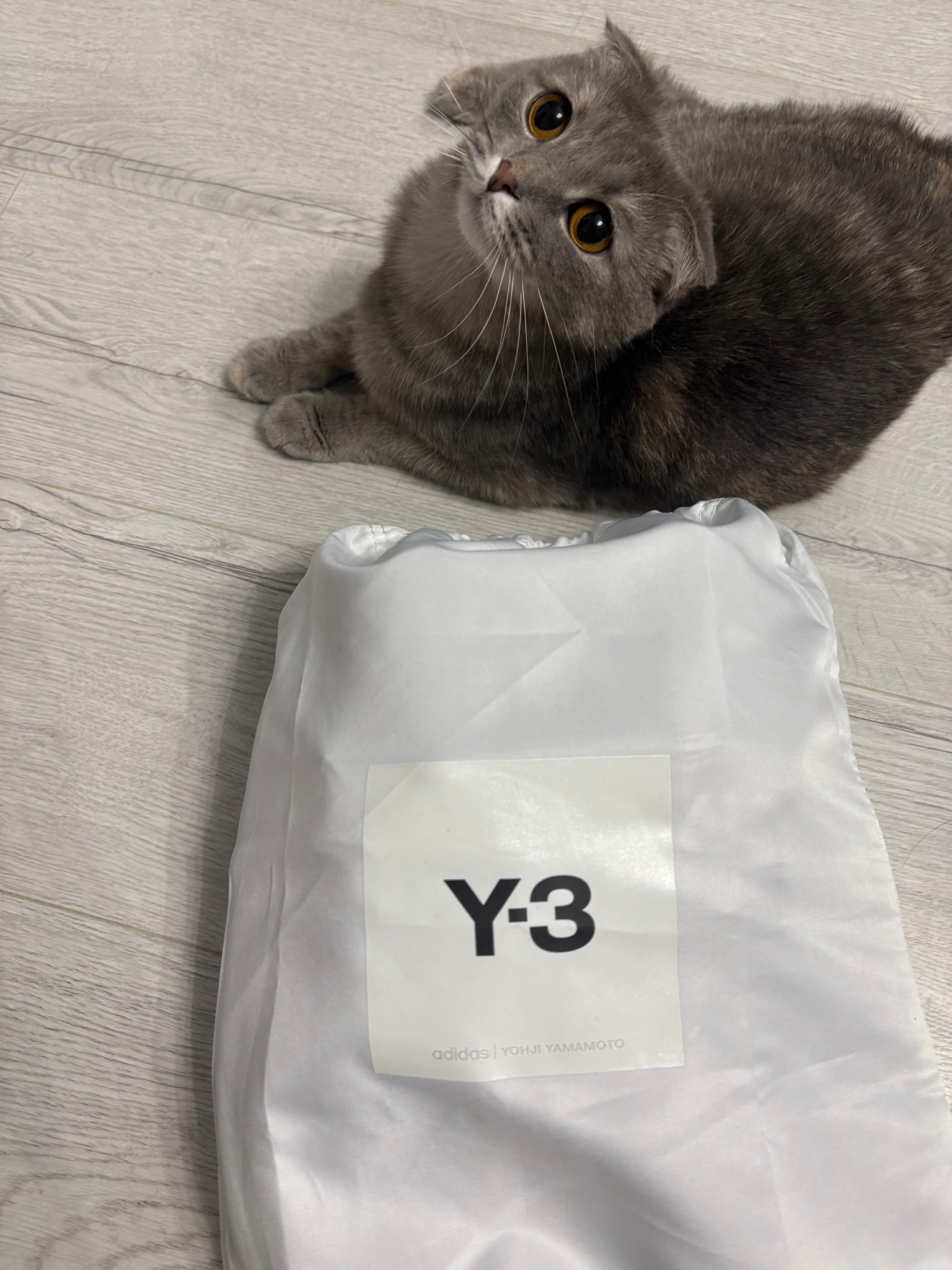 Adidas Y-3 Yohji Yamamoto Кроссовки, миниатюра 7