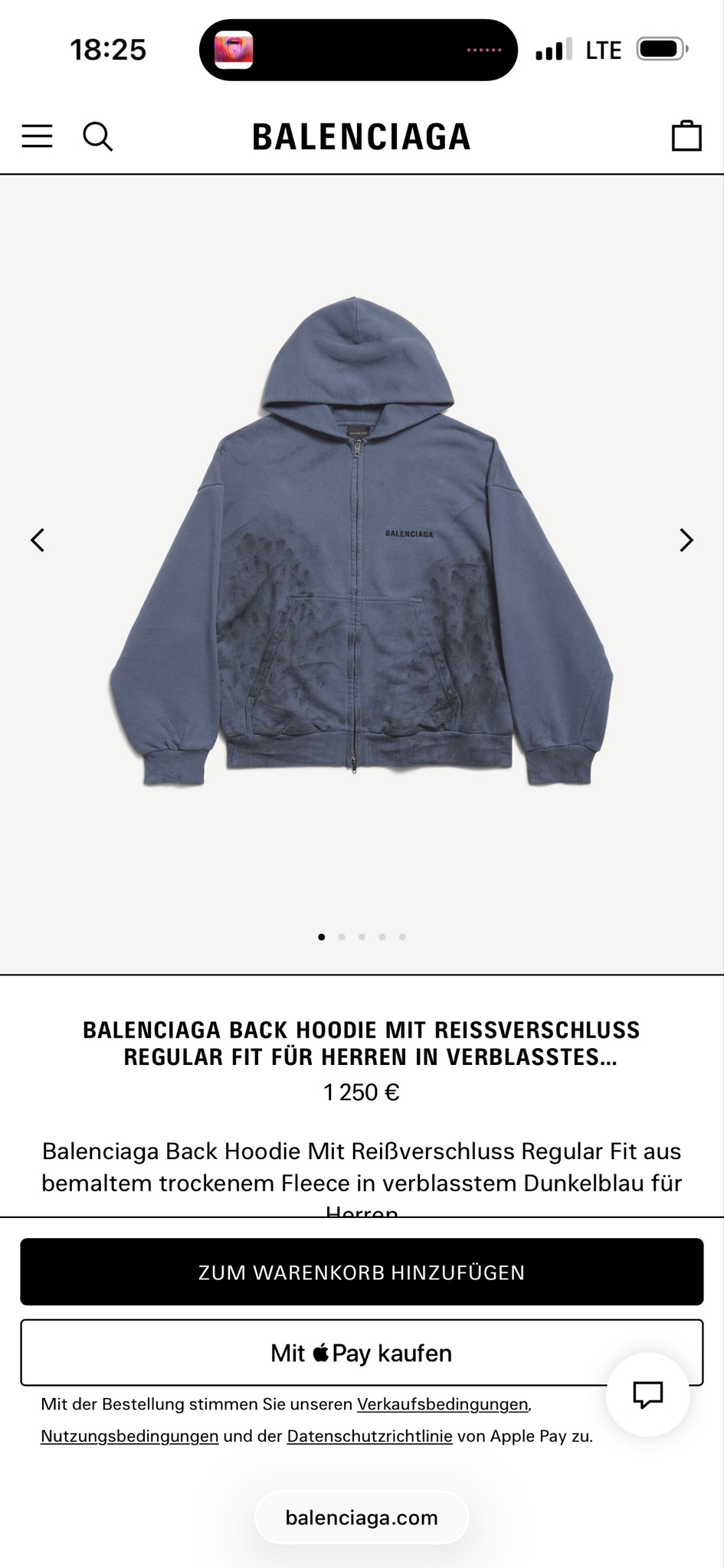 Balenciaga Hoodies, миниатюра 13