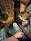 Аватар продавца Роман Зевсов