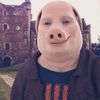Аватар продавца Жировик