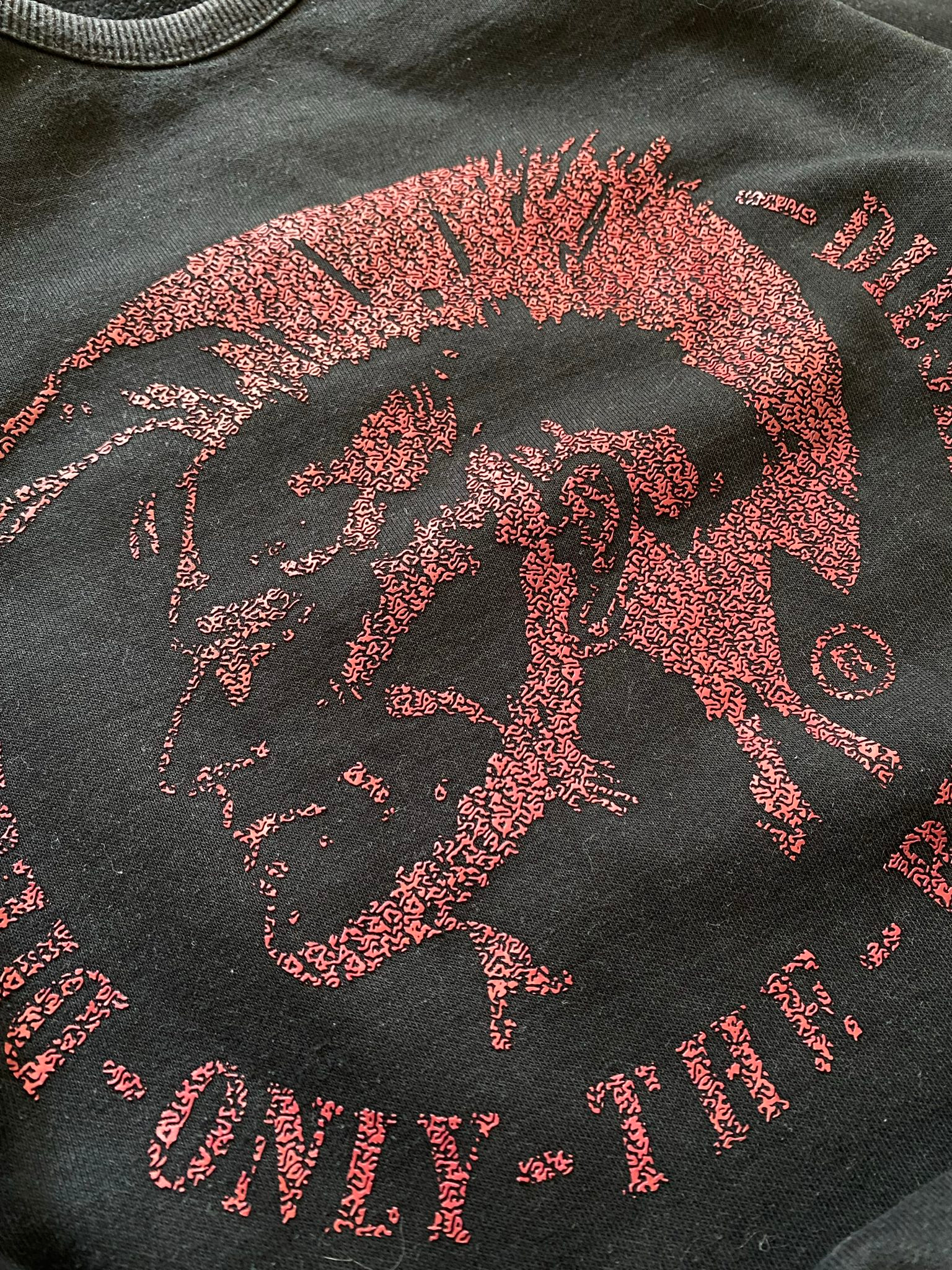 Diesel Vintage Punk Big Logo, миниатюра 3