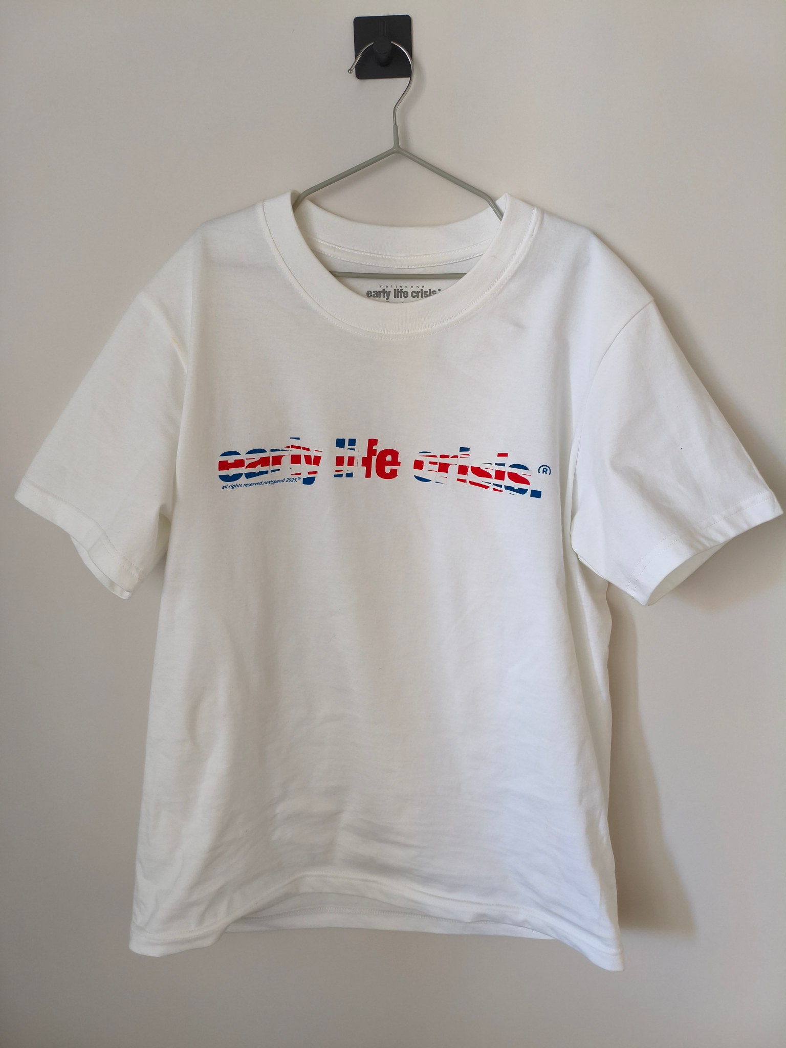 Nettspend  Early Life Crisis, миниатюра 1